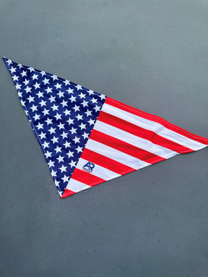 AR American Flag Dog Bandana