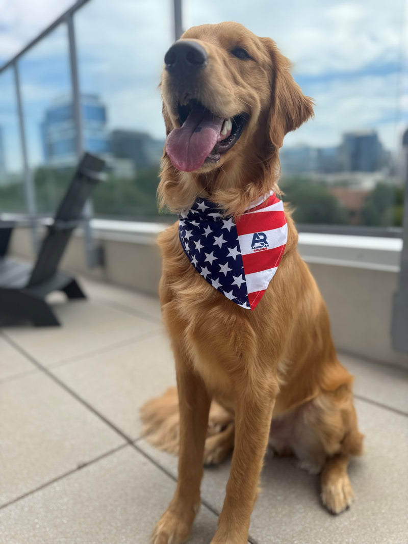 AR American Flag Dog Bandana