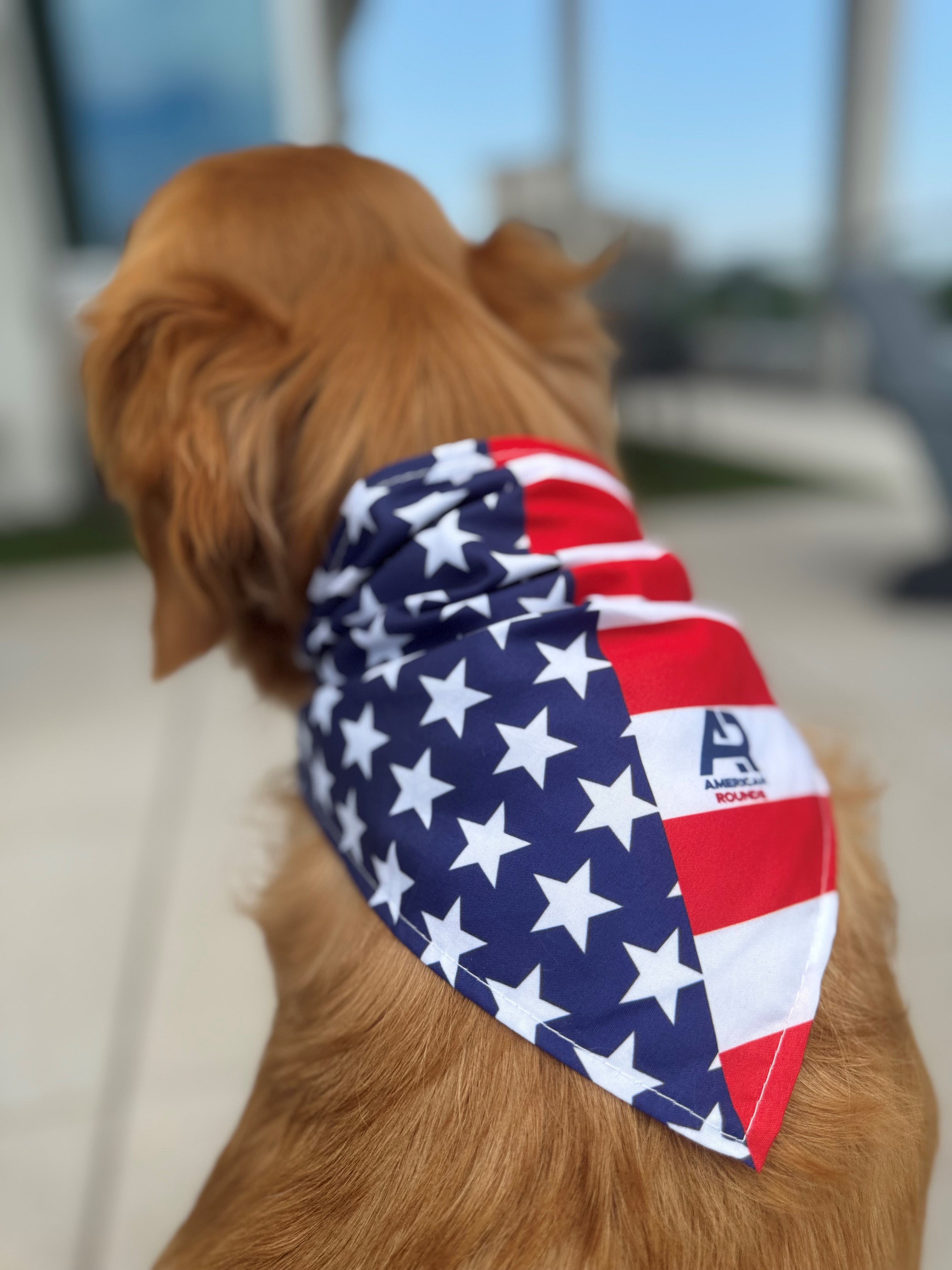 AR American Flag Dog Bandana